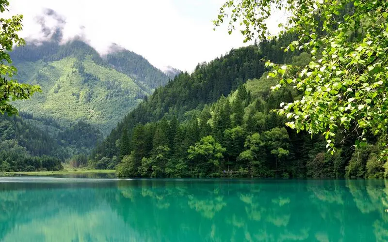 高效可靠性节能